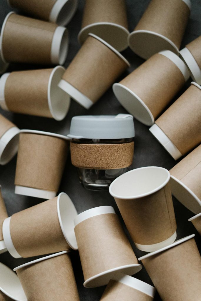 Transforming Operations for Missh Eco: A Sustainable Path to Growth
